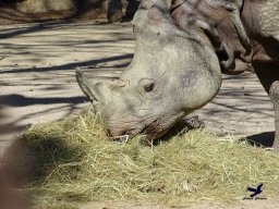 Tiergarten Schönbrunn am 03.10.2025